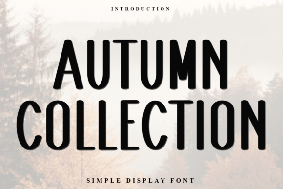 Autumn Collection: A Modern Display Typeface for Creative Makers